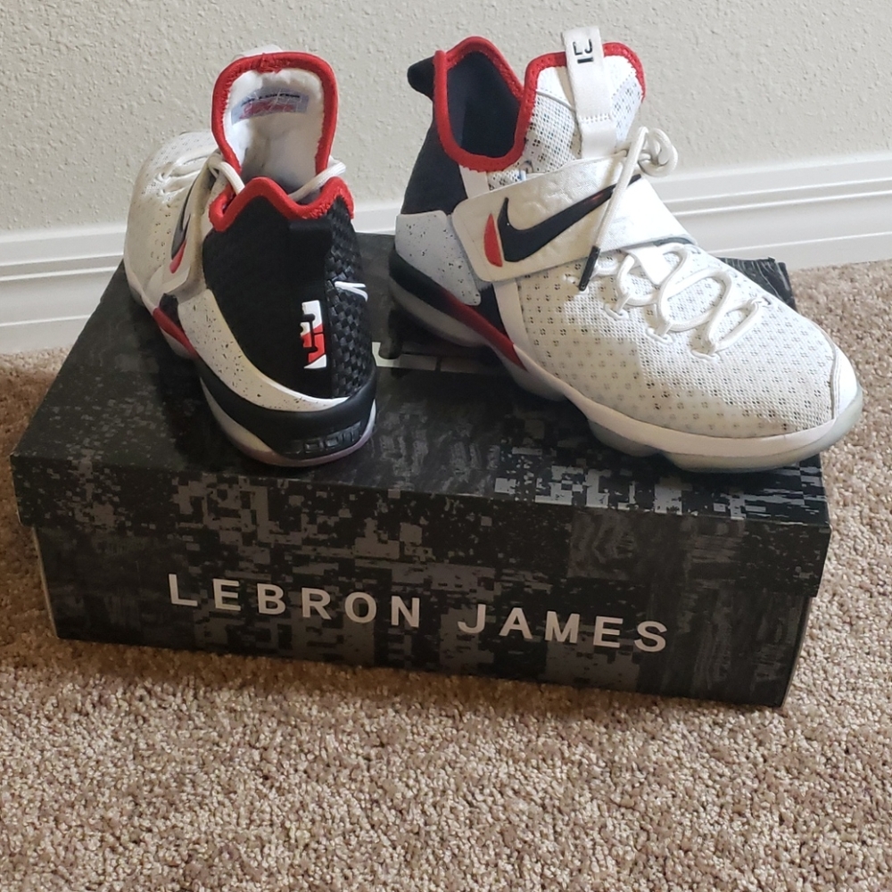 Nike LeBron 14 (GS)
